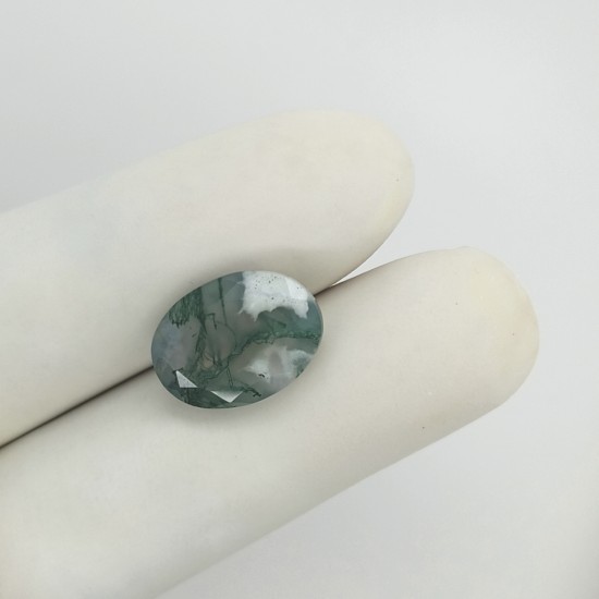 Tree Agate 6.68 Ct Gem Quality Tree Agate 6.68 Ct Gem Quality